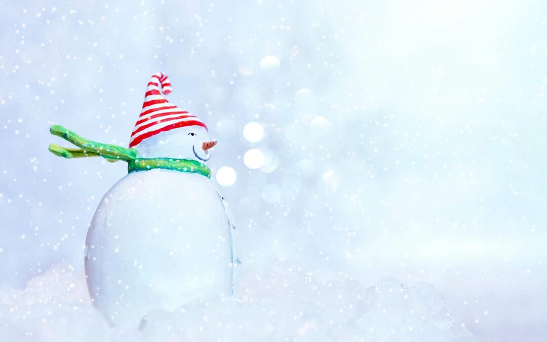 The Holidays are Coming to Town!